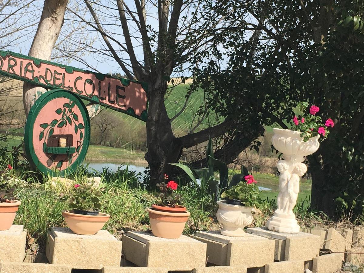 Agriturismo Fattoria del Colle Jesi Esterno foto